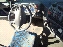Iveco AS440S43 